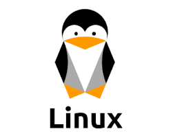 linux du